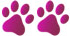 pink-paw-2.png pink-paw-2.png